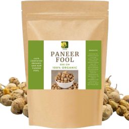 Paneer Phool,paneer dodi , 500 gm Seed (500 gm) Seed-image-24