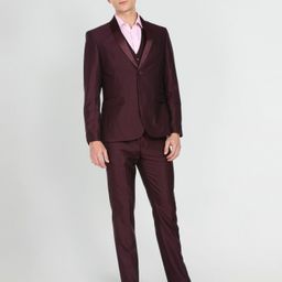 arrow Men Single-breasted Solid Suit-picture-2