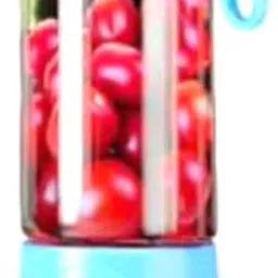 PRO 450 W Juicer Mixer Grinder-image-38