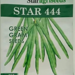 STAR 444 HYBRID moong seeds, highest yield variety early fruiting Seed (2kg) Seed-image-77