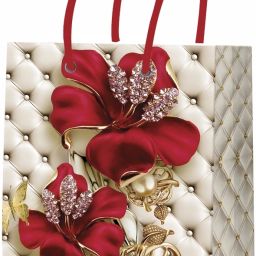 Printed Party Bag-7