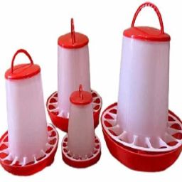 Common Bird Feeder-image-44