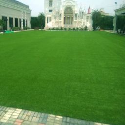 eturf Green Polypropylene High Density 9 X 6.5 Feet Carpet (25 Mm) Artificial Grass-picture-23