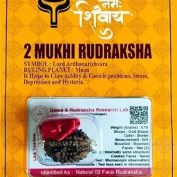 Original 2 Mukhi Nepali Rudraksha Two Faced Rudraksh With Lab Test Certificate Wood Locket-image-72