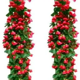 SAF BEAUTIFUL ARTIFICIAL RED SMALL ROSE FLOWER HANGING FOR HOME AND OFFICE DECOR ( 32 INCH. , RED ) Red Rose Artificial Flower-image-65