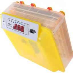 New Automatic Incubator 56 Eggs Mini Incubator 12V & 220V Duel Power Egg Incubator-image-0