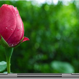 imbue beautiful rose 2 Digital quality vinyl Laptop Skin Compatible for 15.6 inch-image-98