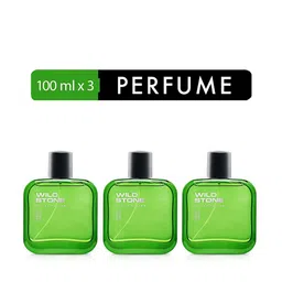 Wild Stone Men Set Of 3 Forest Spice Perfume 100 ml each-29