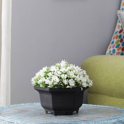 FOLIYAJ Green & White Artificial Plant With Black Pot-56