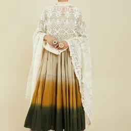 Soch White Embroidered Net Dupatta-25