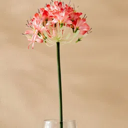 Home Centre Peach-Coloured 1 Pieces Artificial Flower-9