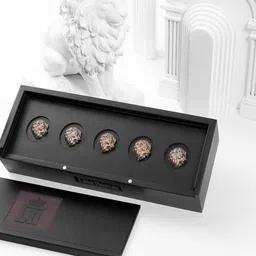 COSA NOSTRAA Set of 5 Metallic Lion of Judah Buttons image 4