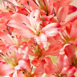 Home Centre Peach-Coloured 1 Pieces Artificial Flower image 4
