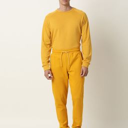 ARTICALE Men Mustard Solid Slim-Fit Track Pants-image-9