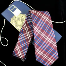 PELUCHE Men Maroon & White Checked Broad Tie-image-92