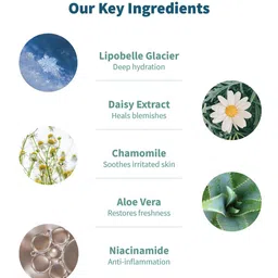 Meola Swiss Glacier Cleanser, Serum & Night Cream image 5