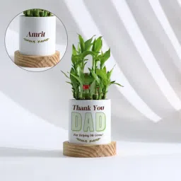Personalized Father's Day Bamboo Plant With Ceramic Planter-image-51