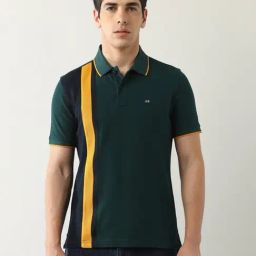 Arrow Sport Green Cotton Regular Fit Color-Block Polo T-Shirt-image-91