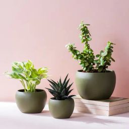Nestroots Elegant Frosted Green Metal Planter - Set of 3-image-11