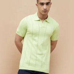 Forca By Lifestyle Green Regular Fit Striped Polo T-Shirt-image-87