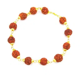 RAVIOUR LIFESTYLE Unisex Rudraksha Brass Gold-Plated Link Bracelet-image-74