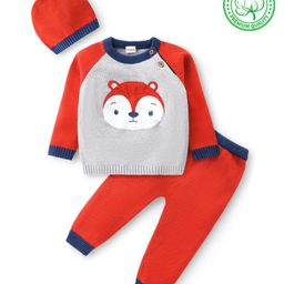 Babyhug Organic Cotton Knit Raglan Full Sleeves Sweater Set & Cap with Fox Patch Detailing - Grey & Rust-image-60