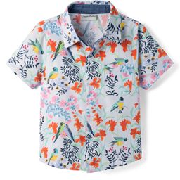 CrayonFlakes Cotton Woven Half Sleeves Floral & Birds Printed Shirt - Blue-image-93