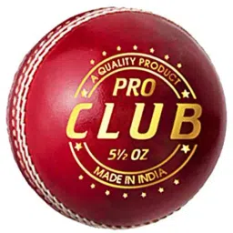 DSC Pro Club Cricket Leather Ball Size - Free Size-image-2