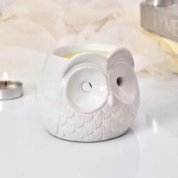 Tayhaa White Ceramic Owl Oil Diffuser-picture-29