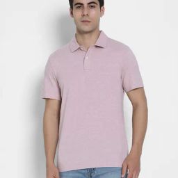 American Eagle Pink Regular fit Solid Polo T-Shirt-image-69