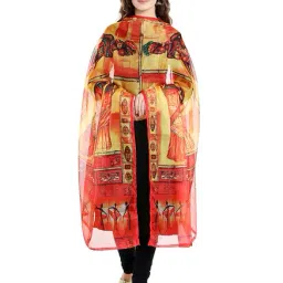 Dupatta Bazaar Multicolored Dupatta image 3