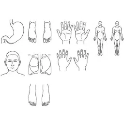 AS ONE Medical Stamp Whole Body Male Front Type 47×94×72 mm Black ABS Resin, 3278-image-4