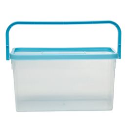 Gluman Pick N Carry Multipurpose Storage Box With Lid (3.3 L)-10