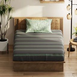 KOPA Grey & Pistachio Microfibre Striped 152 TC Single Bedsheet with 1 Pillow Cover-image-23