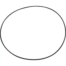 NOK O-Ring, 2.620.07 mm Fluoro Rubber, AS568-162D-image-82