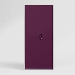 Godrej Interio Neolite Mulberry Metal 2 Door Almirah-image-56