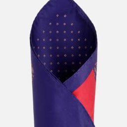 Allen Solly Blue Printed Pocket Square-image-84