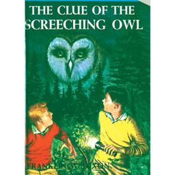 Hardy Boys 41: The Clue Of The Screeching Owl Story Book By Franklin W.Dixon - English-32