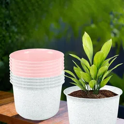 Kuber Industries 10Pcs White & Pink Textured Planters With Plate-87