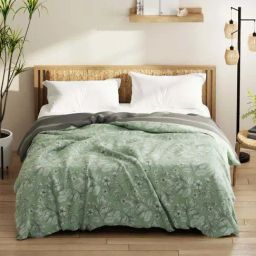 Bianca Classic Feel Pistachio 152 TC 120 GSM Double Comforter-21