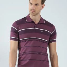 Monte Carlo Purple Regular Fit Striped Polo T-Shirt-image-98