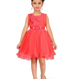 BAESD Girls Floral Embroidered Tulle Fit & Flare Dress-picture-21