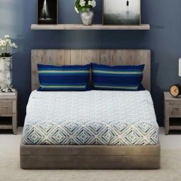 Bianca Santiago Blue Fabric 192 TC 140 GSM King Size Bedsheet With 2 Pillow Covers-image-91