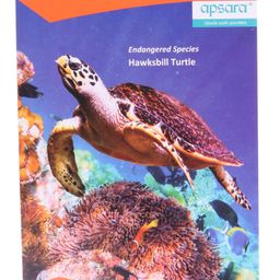 Apsara Kingsize Notebook Single Line -172 Pages (Color and Print May Vary)-15