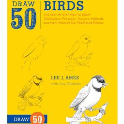 Draw 50 Birds Art Book by Lee J Ames - English-image-49