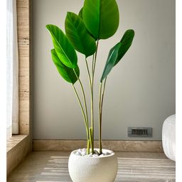 Mason Home Lithos Ivory Planter - Large-86