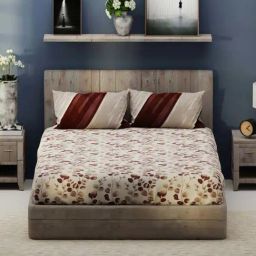 Bianca Santiago Brown Fabric 192 TC 140 GSM King Size Bedsheet With 2 Pillow Covers-image-86