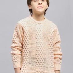 Monte Carlo Boys Beige Self Full Sleeves Pullover-image-10