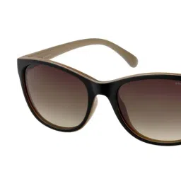 Polaroid P8339 Brown Polarized Timeless Square Sunglasses image 2