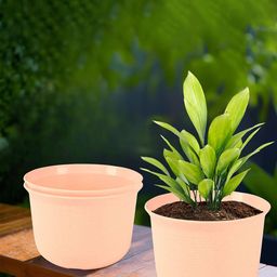 Kuber Industries Peach-Coloured 3 Pieces Flower Pot With Plate-28